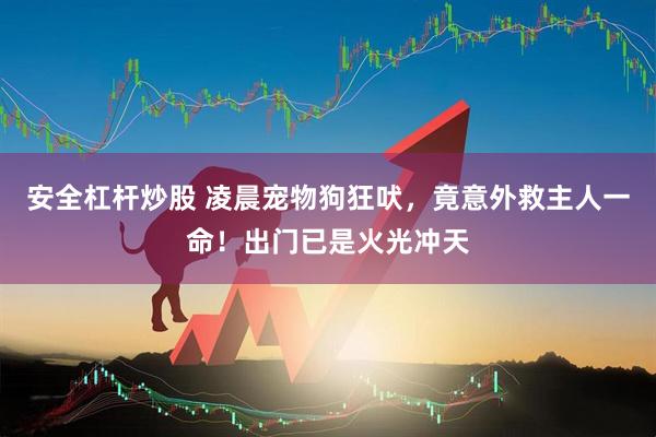 安全杠杆炒股 凌晨宠物狗狂吠，竟意外救主人一命！出门已是火光冲天