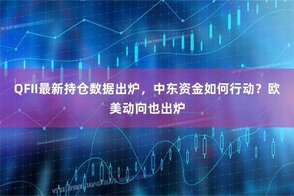QFII最新持仓数据出炉，中东资金如何行动？欧美动向也出炉