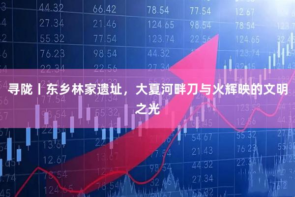 寻陇丨东乡林家遗址，大夏河畔刀与火辉映的文明之光